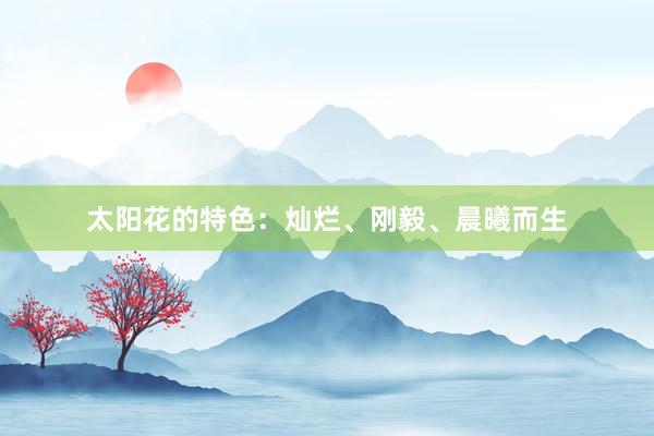 太阳花的特色：灿烂、刚毅、晨曦而生